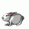 Animations - 029